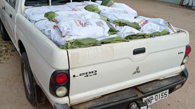 Currais Novos distribui sementes para agricultura familiar